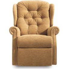 Whitney Petite Recliner Single Motor Lift & Tilt