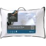 Fine Bedding Company Pillows Smart Temperature